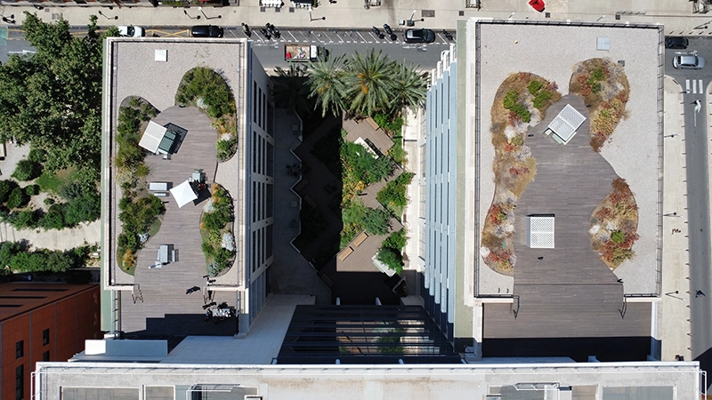 Végétalisation de rooftop